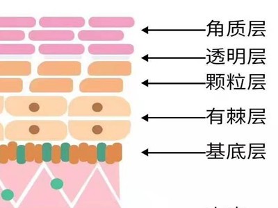 夜间清洁你做到了吗