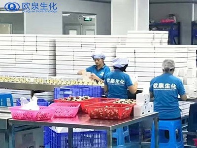 化妆品OEM代加工的禁区