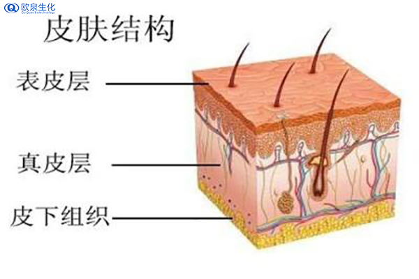 保养了那么多年才发现自己是混合肌-欧泉生化