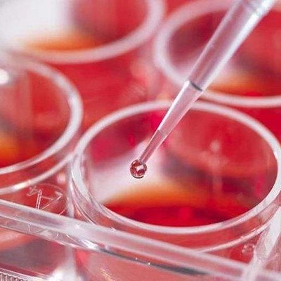 虾青素在护肤品oem代加工中的生物功效