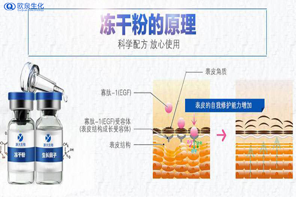 冻干粉面膜到底是什么产品？