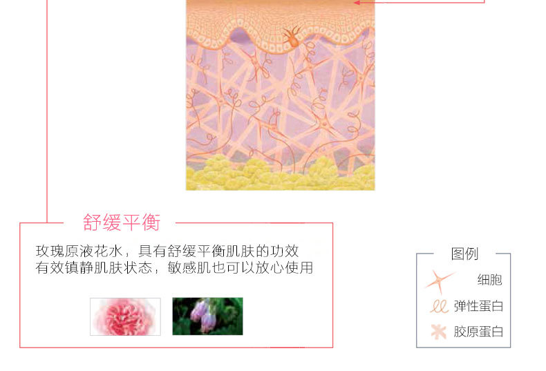 玫瑰养颜补水凝胶-欧泉生化