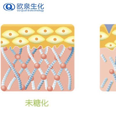 肌肽在化妆品领域有什么作用