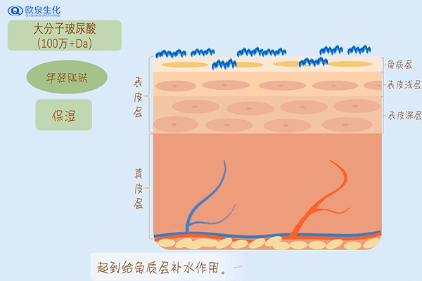 同样都是玻尿酸面膜为什么效果差这么大-欧泉生化