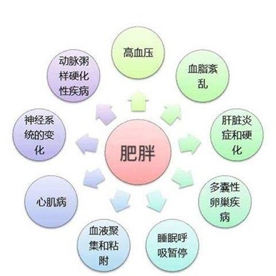 减肥套盒:减肥的一些小技巧