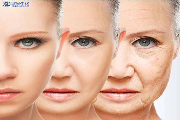 通过分析炎性衰老研究抗衰老化妆品-欧泉生化